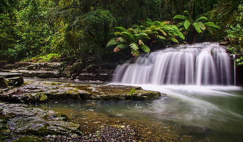 Rocky Crossing Walk - Accommodation Nelson Bay 0