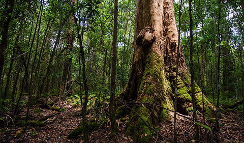Rocky Crossing Walk - Accommodation Nelson Bay 1