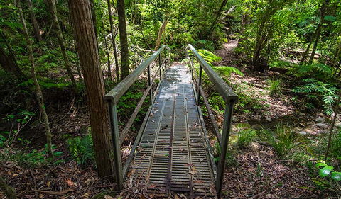 Rocky Crossing Walk - Accommodation Nelson Bay 2