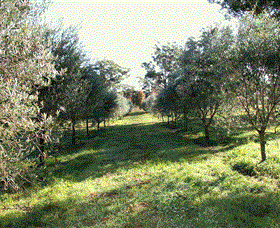 Langdale Farm - Accommodation Nelson Bay