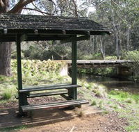Barrington Tops State Forest - Accommodation Nelson Bay