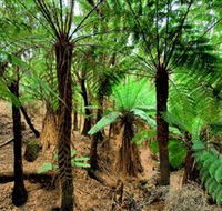 Pegarah Private Nature Reserve  Parenna Place - Accommodation Nelson Bay