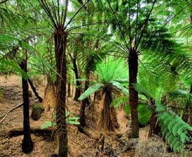 Pegarah Private Nature Reserve & Parenna Place - Accommodation Nelson Bay 0