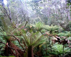 Pegarah Private Nature Reserve & Parenna Place - Accommodation Nelson Bay 1