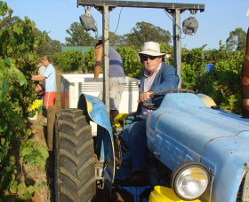 Pokolbin Brothers Wines Hunter Valley - Accommodation Nelson Bay 1