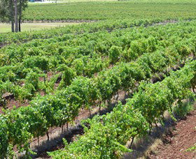 Pokolbin Brothers Wines Hunter Valley - Accommodation Nelson Bay 0