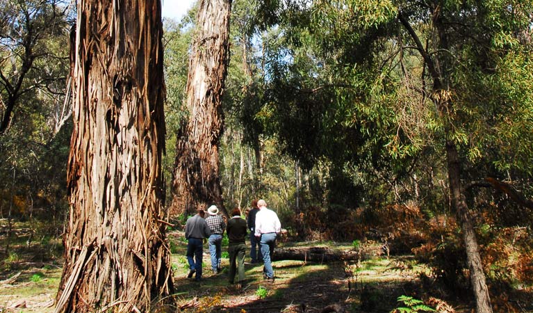 Warri NSW Accommodation Nelson Bay