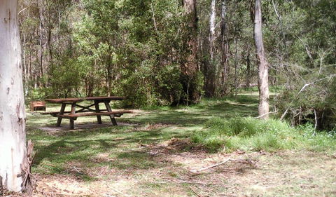 Tallaganda National Park - Accommodation Nelson Bay 1