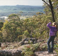 Gibbergunyah Reserve - Accommodation Nelson Bay