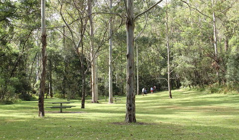 Mill Creek Picnic Area - Accommodation Nelson Bay 3