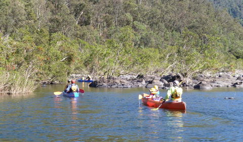 Nymboida National Park - Accommodation Nelson Bay 1
