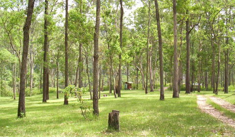 Nymboida National Park - Accommodation Nelson Bay 2