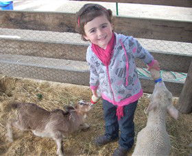 Hunter Valley Zoo - Accommodation Nelson Bay 4