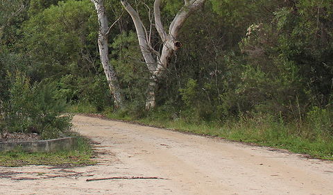Riverview Walking Track - Accommodation Nelson Bay 0