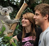 Featherdale Wildlife Park - Accommodation Nelson Bay