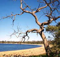Lake Indoon - Accommodation Nelson Bay