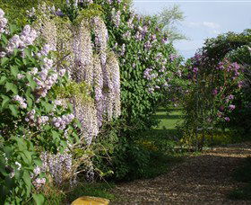 Back O The Moon - Accommodation Nelson Bay 3