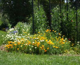 Back O The Moon - Accommodation Nelson Bay 2