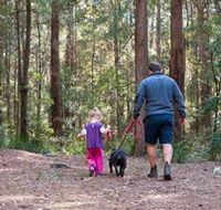Olney State Forest - Watagan Mountains - Accommodation Nelson Bay
