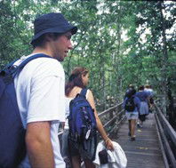 Bellthorpe National Park - Accommodation Nelson Bay
