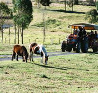 Calmsley Hill City Farm - Accommodation Nelson Bay