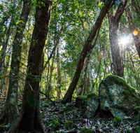 Copeland Tops State Conservation Area - Accommodation Nelson Bay