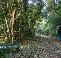 Basin Loop track - Accommodation Nelson Bay