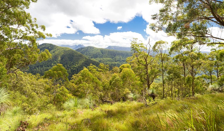 Fawcetts Plain NSW Accommodation Nelson Bay