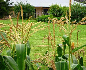 Experiment Farm Cottage - Accommodation Nelson Bay 4