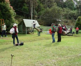 Forest Of Tranquillity - Australian Rainforest Sanctuary - Accommodation Nelson Bay 0