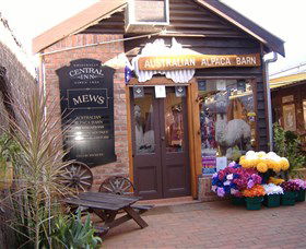 Australian Alpaca Barn - Morpeth - Accommodation Nelson Bay 0