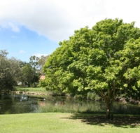 Hervey Bay Botanic Gardens - Accommodation Nelson Bay