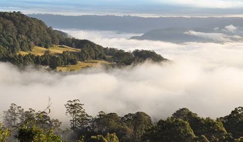 Cambewarra Range Nature Reserve - Accommodation Nelson Bay 0