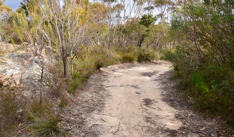 Cambewarra Range Nature Reserve - Accommodation Nelson Bay 1
