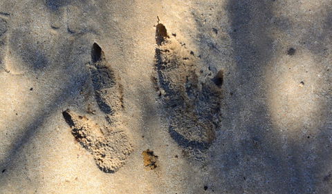 Cambewarra Range Nature Reserve - Accommodation Nelson Bay 3
