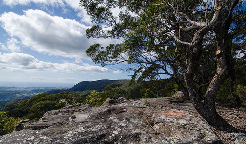 Illawarra Lookout Walking Track - Accommodation Nelson Bay 2