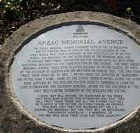Anzac Memorial Avenue Redcliffe - Accommodation Nelson Bay