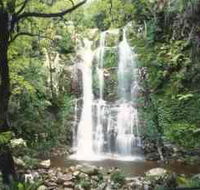 Budderoo National Park - The Falls Walk - Accommodation Nelson Bay