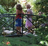 EG Waterhouse National Camellia Garden - Accommodation Nelson Bay