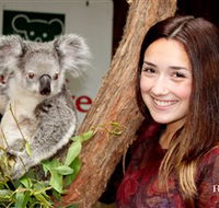 Blackbutt Reserve - Accommodation Nelson Bay