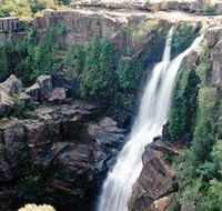 Minnamurra Rainforest Centre Budderoo National Park - Accommodation Nelson Bay