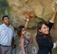 Nura Diya Aboriginal Wildlife Tour at Taronga Zoo - Accommodation Nelson Bay
