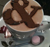 Ampersand Caf Bookstore Paddington - Accommodation Nelson Bay