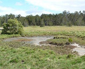 Boondall Wetlands Reserve - Accommodation Nelson Bay 1