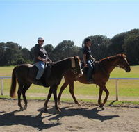 Centennial Parklands Equestrian Centre - Accommodation Nelson Bay