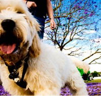 Tuckeroo Park - Accommodation Nelson Bay