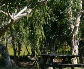 Piora NSW Accommodation Nelson Bay