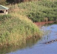 Spring Creek Wetlands Walk - Accommodation Nelson Bay