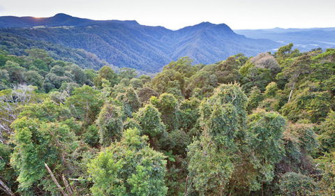 Skywalk Lookout - Accommodation Nelson Bay 2