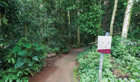 Walk With The Birds Boardwalk - Accommodation Nelson Bay 0